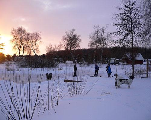 Asaa-Camping-i-nordjylland-vinterbilleder