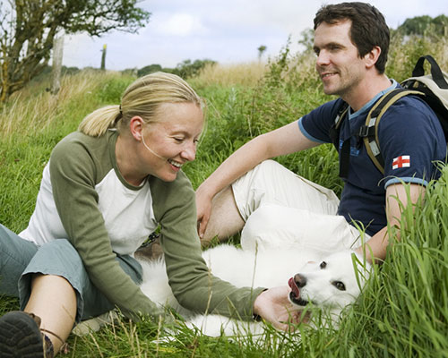 hund_camping_Nordjylland_1